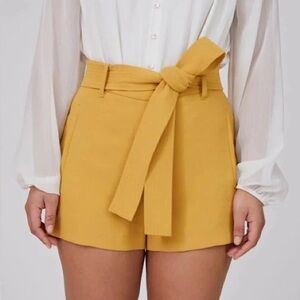 Aritzia Wilfred Tie Front Shorts